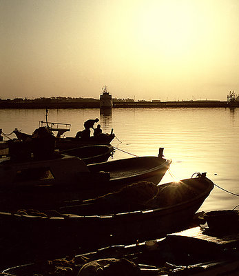 antioch harbour