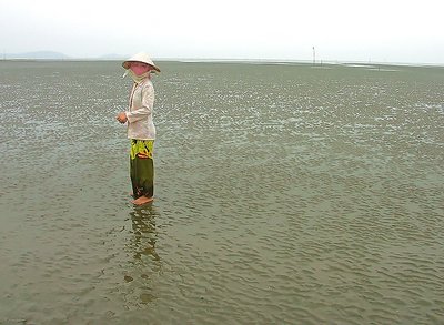 Clam Field Worker