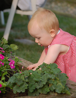 "Young Gardener"