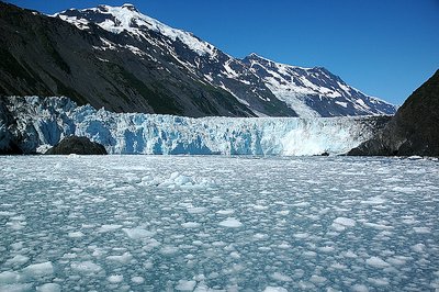 Alaskan Ice