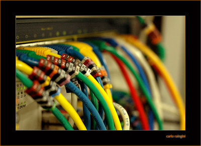 colors of network #002