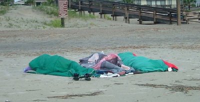 Beach Snoozers