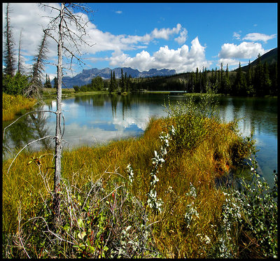 Beavers Paradise