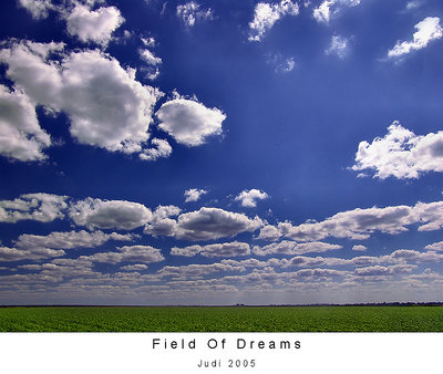 Field Of Dreams