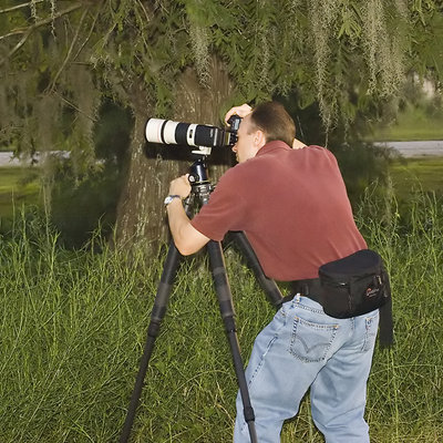 Spider Hunting with Carl