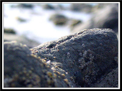 Rocks #3