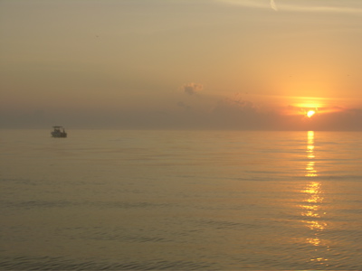 Lost at Sea