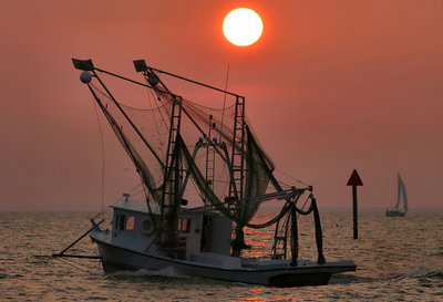 Sunset Shrimpboat
