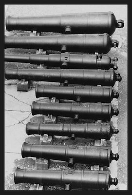 Citadel Cannons