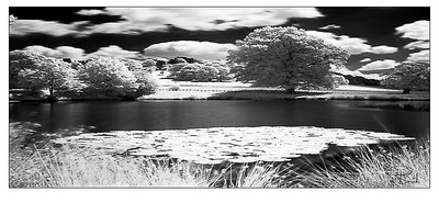 infrared lake