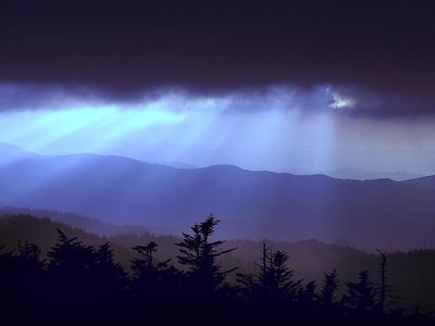 Rays