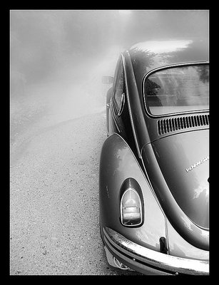 My beetle in the fog #2