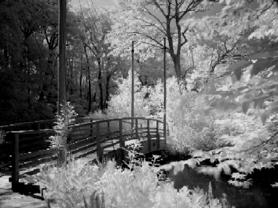 Hanging Bridge