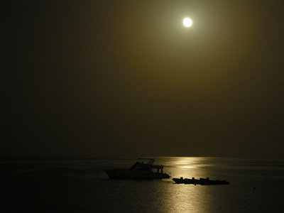 Moonlight in Mersa Alam