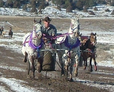 Winning His First Chariot Race