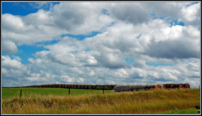 Hay Meadow II