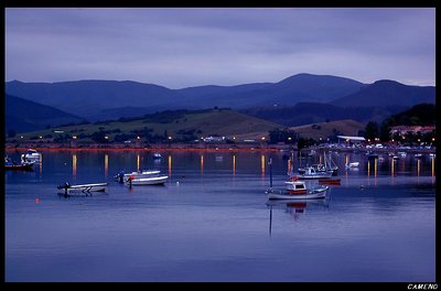 Boats in the evening