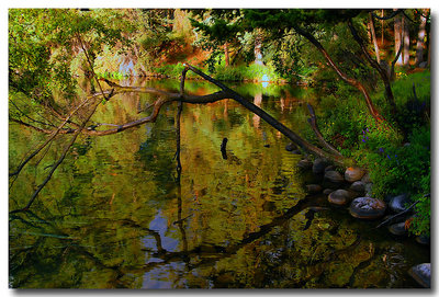 Colors in the Lagoon