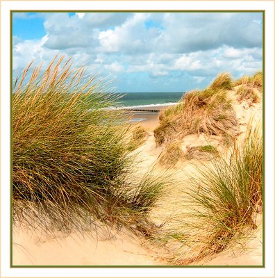 Dune in Zeeland