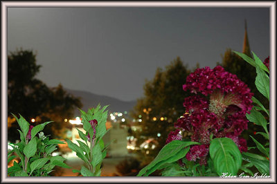 The Night