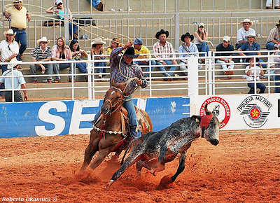 .:: Barretos International rodeo (2) ::.