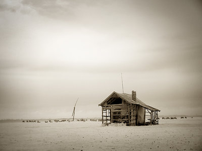 Life on the Puszta 3