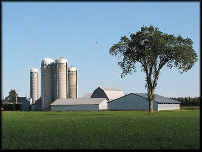 Rural Ontario
