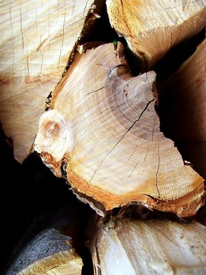 wood-01