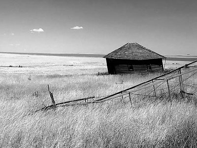 leaning shed.