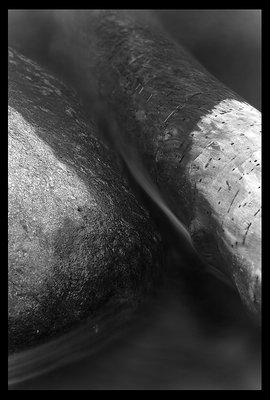 Water, Rock, Wood