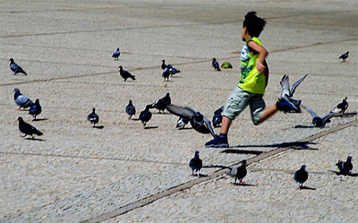 A criança e os pombos