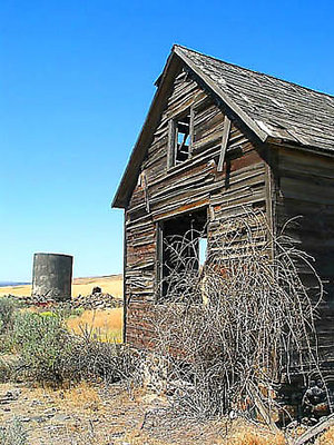 Rough old house.