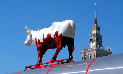 cowparade in Warsaw