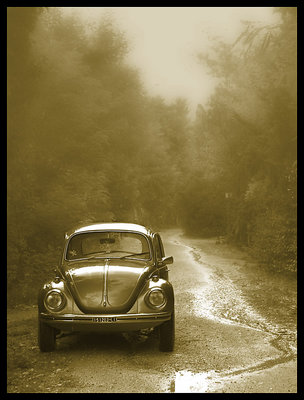 My beetle in the fog #3