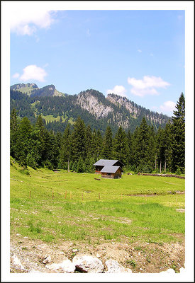 Austrian landscape 06