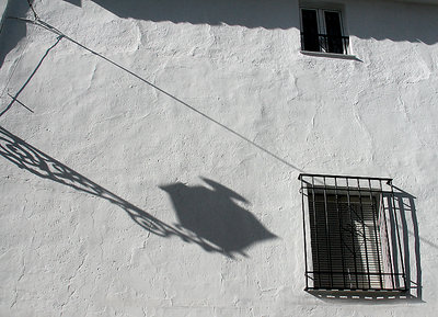 Shadows on Whitewash