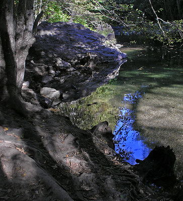 Dusk Big Sur River