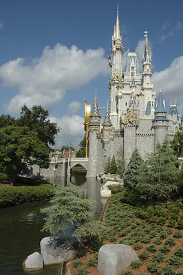 Magic Kingdom