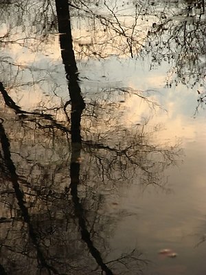 reflection
