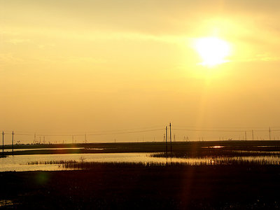 Sundown in tundra