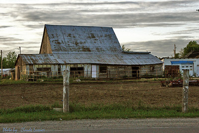 Barn_5