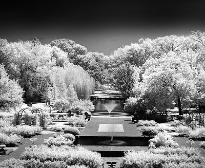 InfraRed Garden