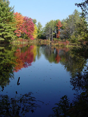 Fall in New England