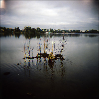 Lake Rotoroa 2
