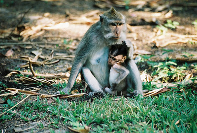 Mother and child