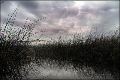 Lake Storm