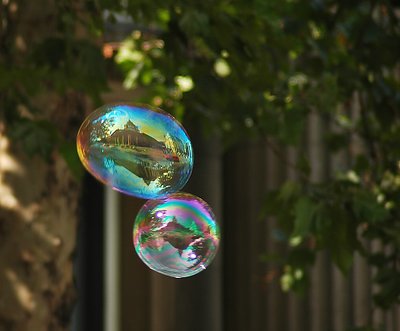 Life in a Bubble..