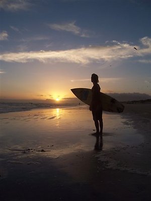 Sunset Surfer