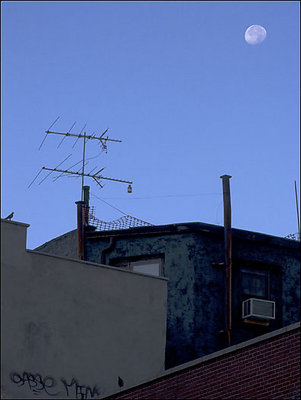 Chinatown Rooftops