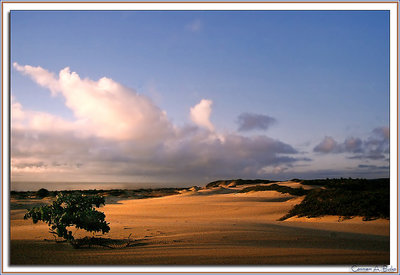 Itaunas dunes (Happy Birthday, Felipe!)